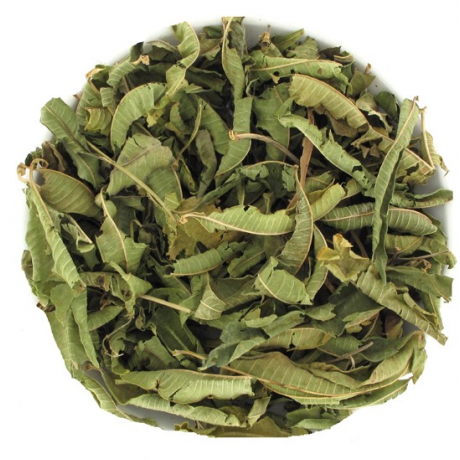 Verveine Citronnelle