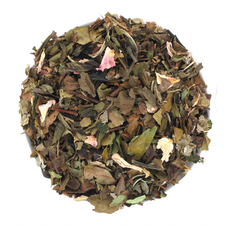 Les fesses de Cupidon